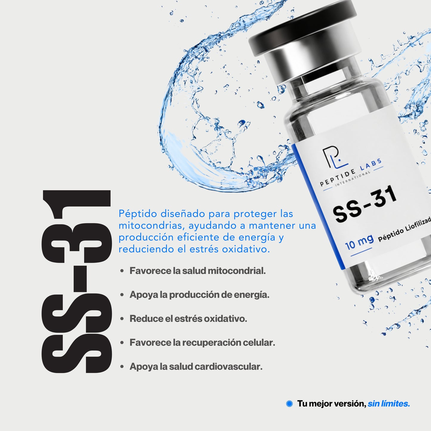 SS-31