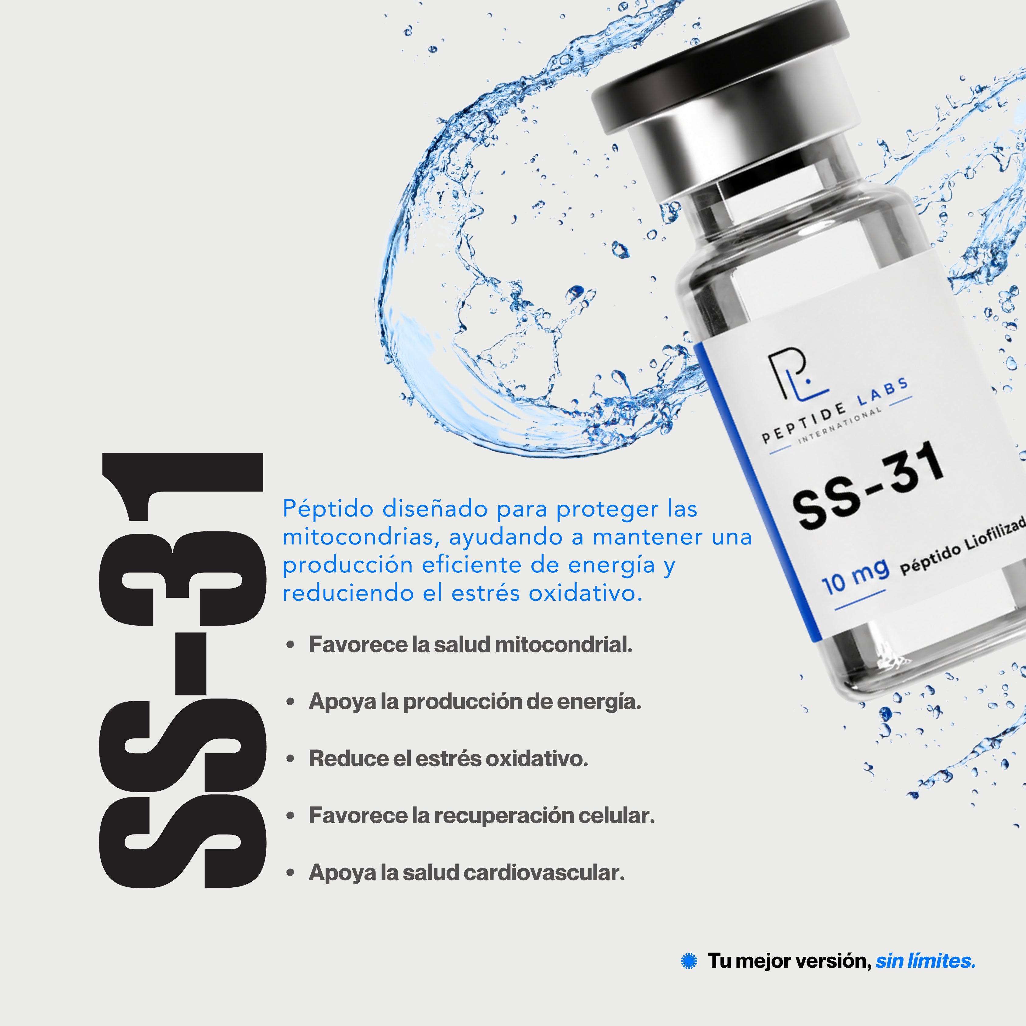 SS-31
